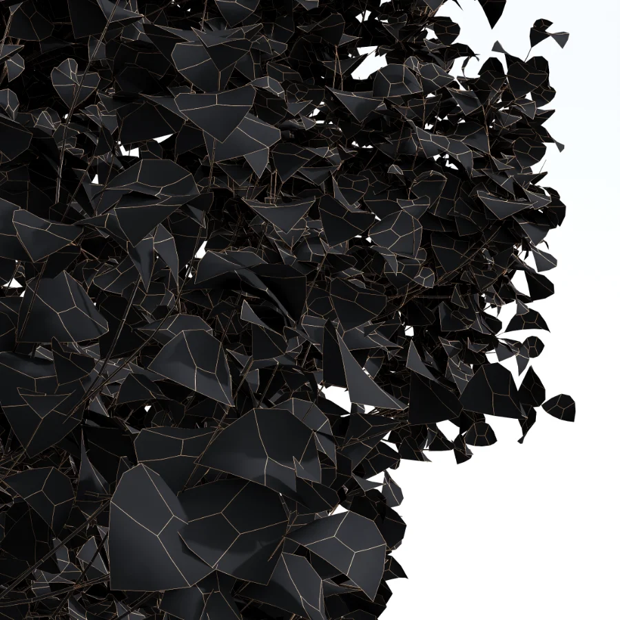 AV Fall trees Acer Saccharinum and Maidenhair Ginkgo Image 2