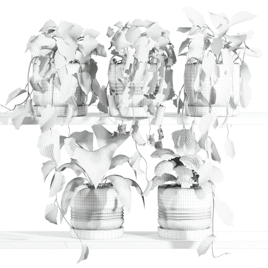 ivy potted plants on shelf Image 4