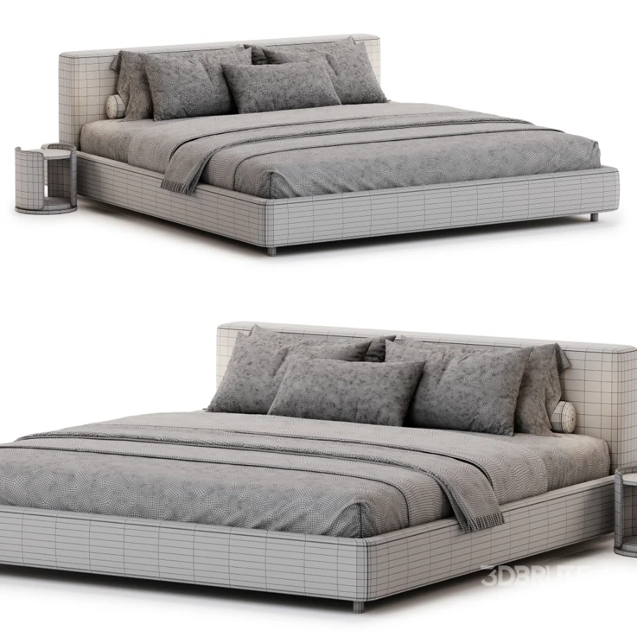 Lake S Bed by His Image 4