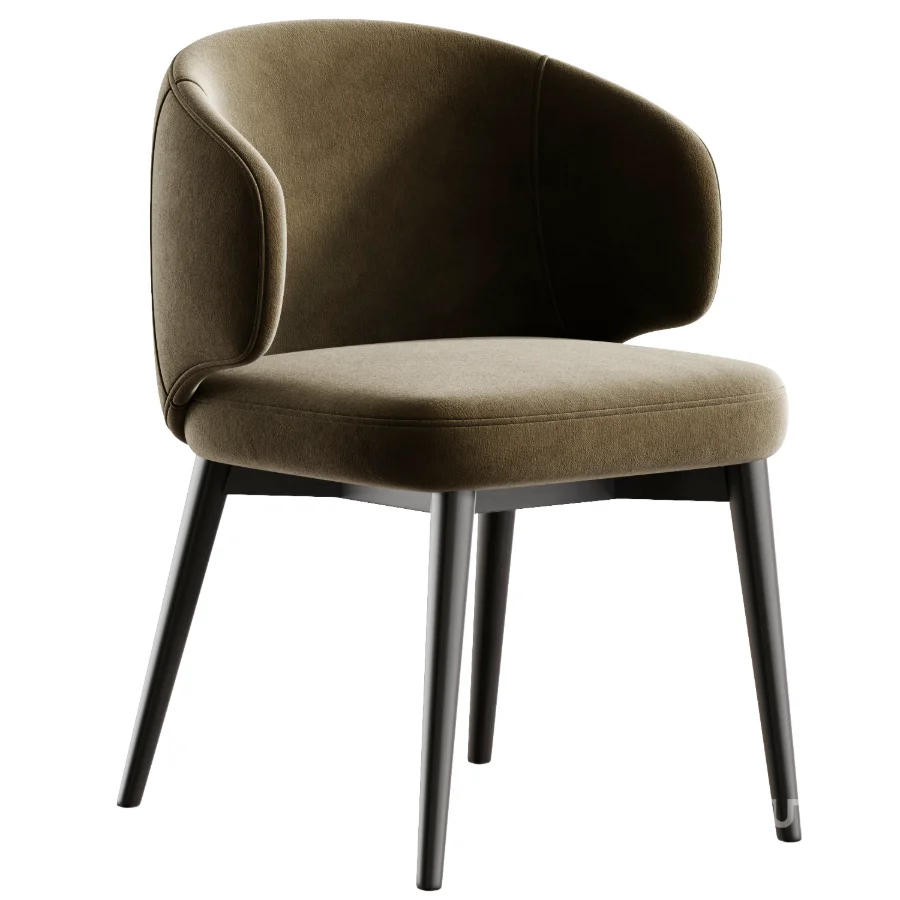 Fargo dining chair Image 4