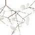 Heracleum III Suspended Suspension 02 - Thumbnail 8