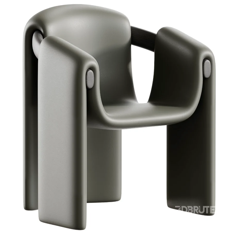 Sari Lounge Armchair Image 2