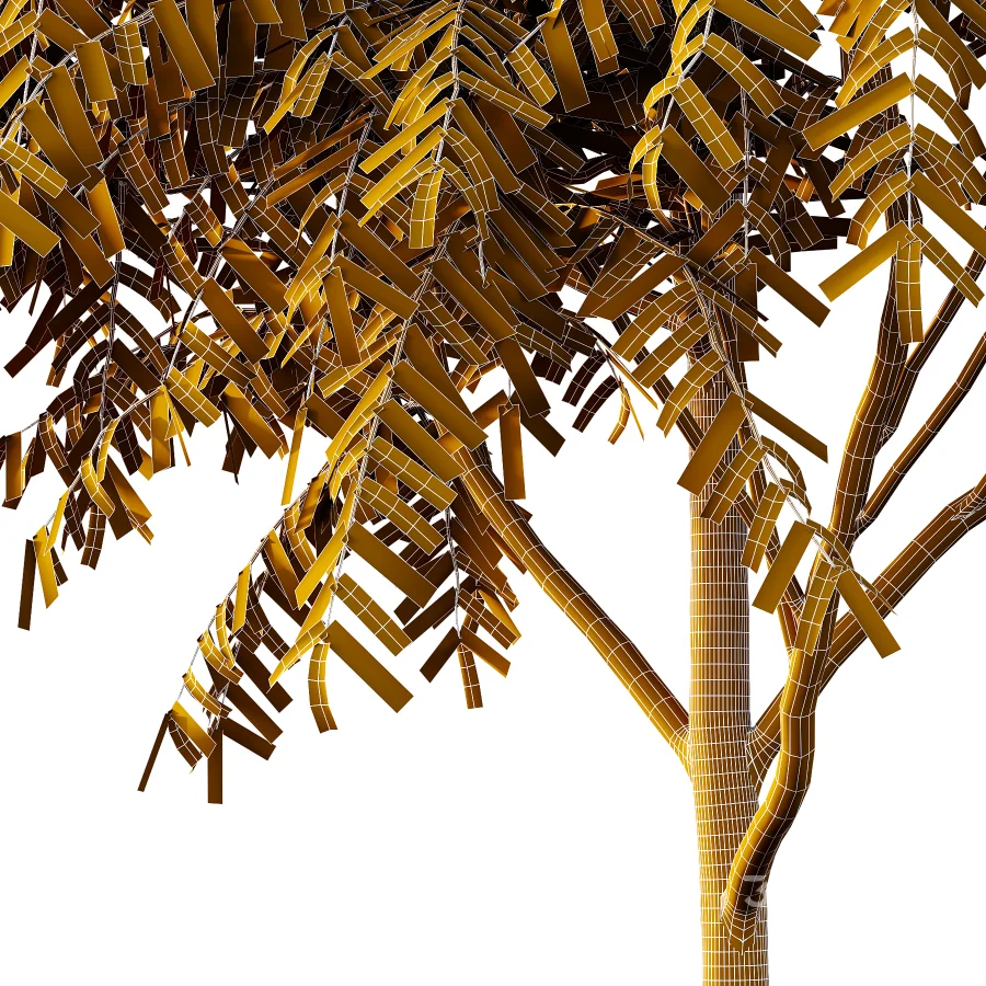 Averrhoa bilimbi Tree 01 Image 6