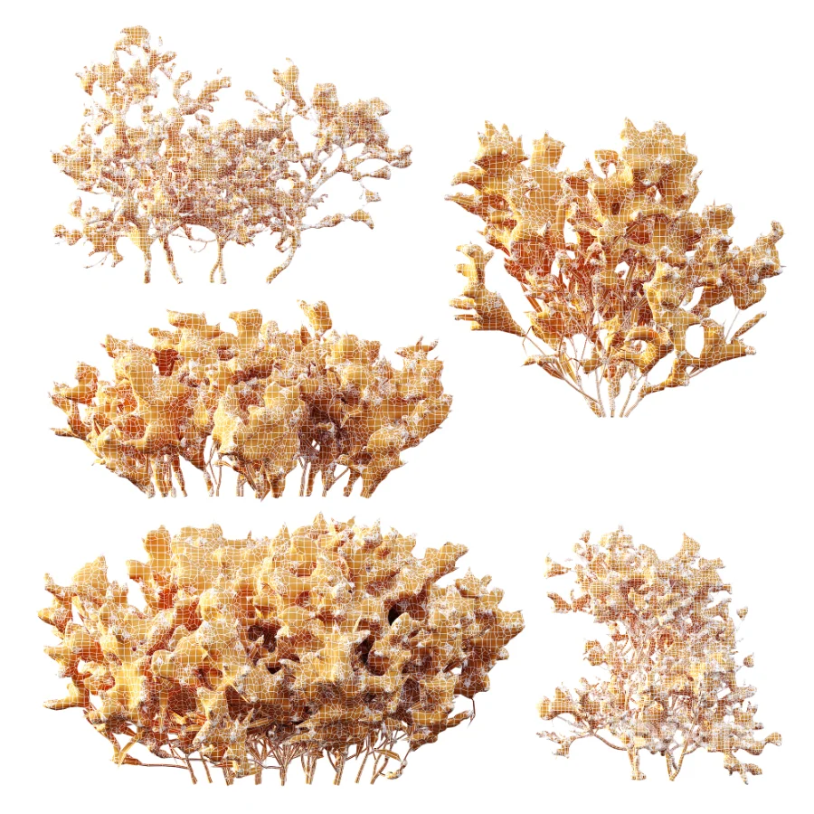 AV Plant Snow Pennsylvania Bayberry and Mexican Sage winter Image 9