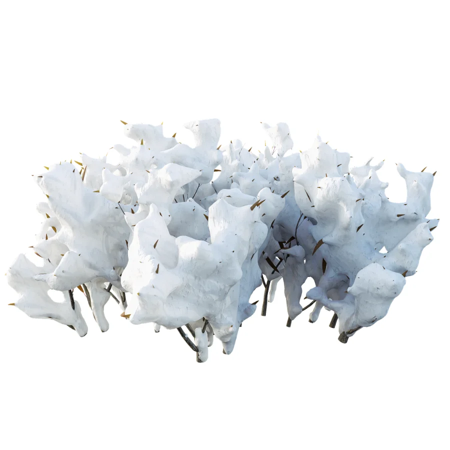 AV Plant Snow Pennsylvania Bayberry and Mexican Sage winter Image 1