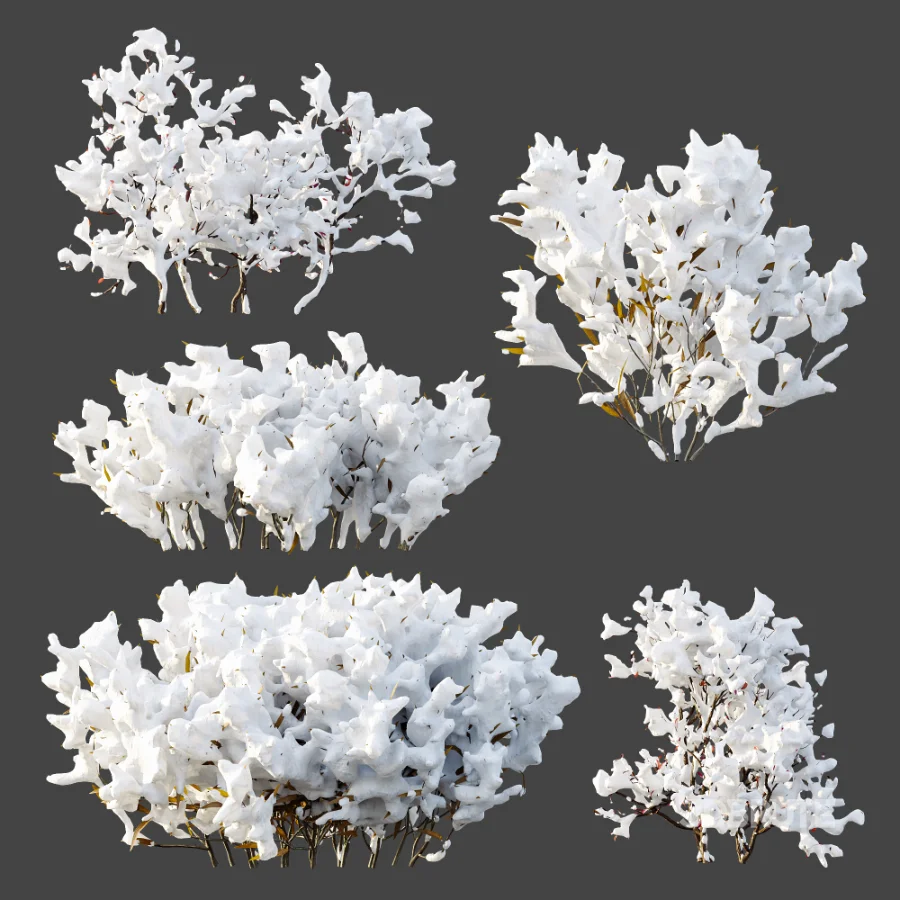 AV Plant Snow Pennsylvania Bayberry and Mexican Sage winter Image 7