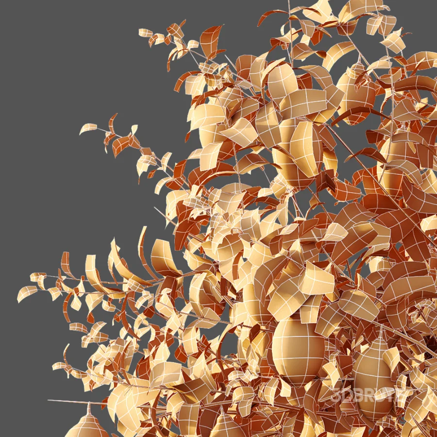 AV Plants Citrus Meyer Lemon Orange Version02 Image 8