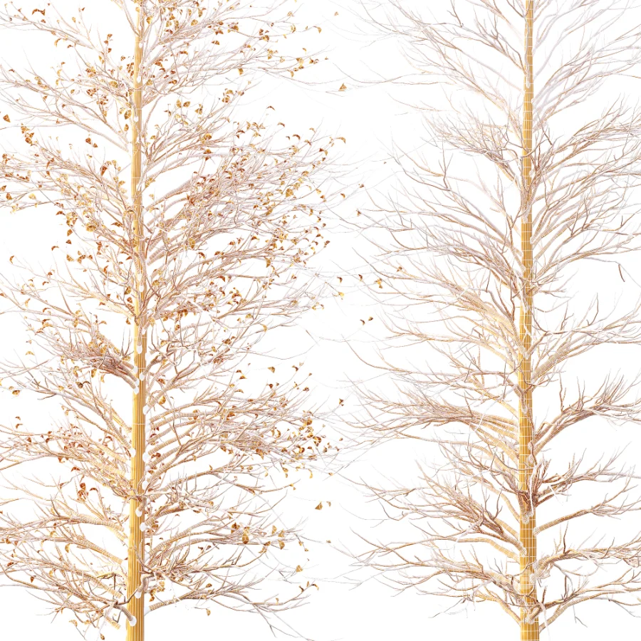 AV Autumn trees Real Tree Acer Buergerianum Image 8