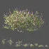 AV Plant Bush Purple Heather Calluna Vulgaris - Thumbnail 10
