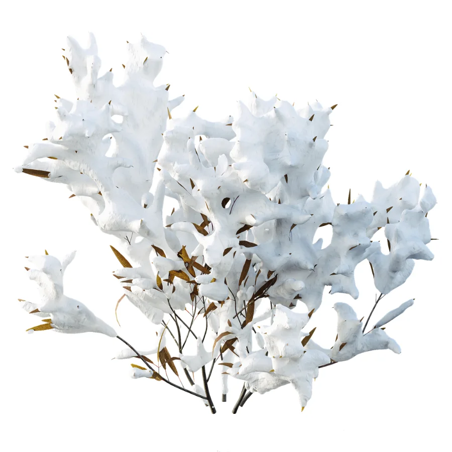 AV Plant Snow Pennsylvania Bayberry and Mexican Sage winter Image 5