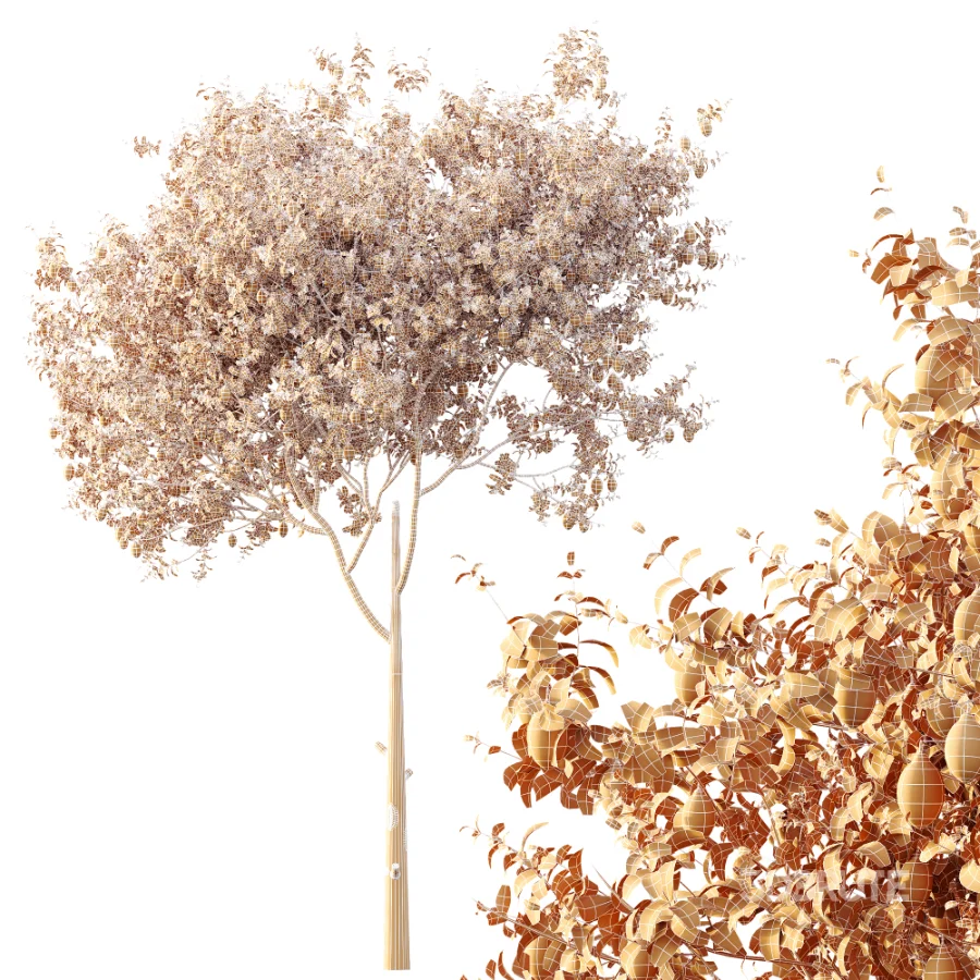 AV Plants Citrus Meyer Lemon Version02 Image 7