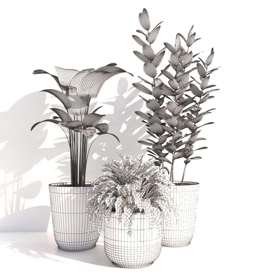 indoor plant_001 Image 5