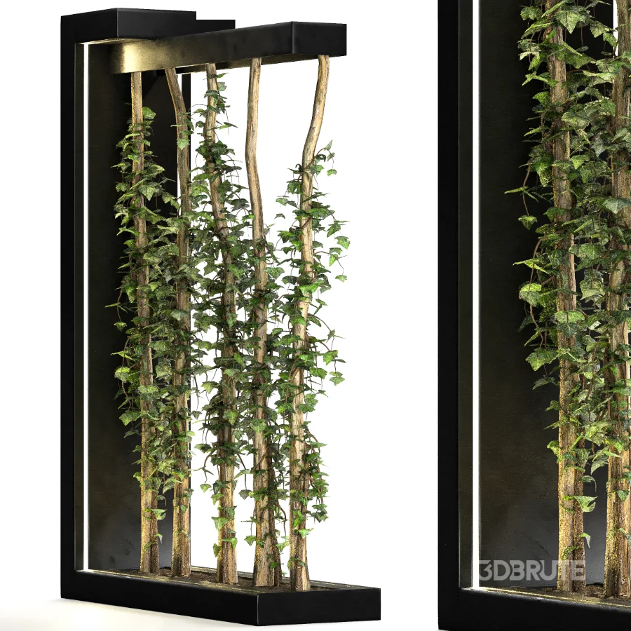 Room Divider Planter 02 Image 4