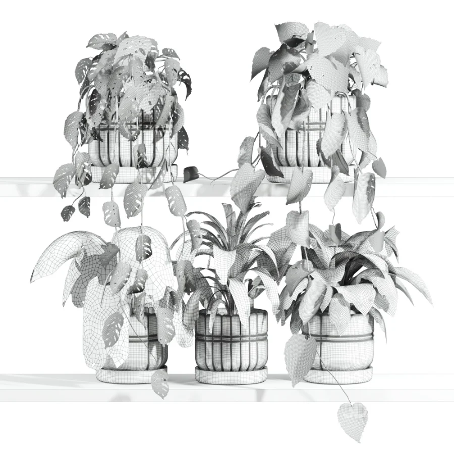 ivy potted plants on shelf Image 4