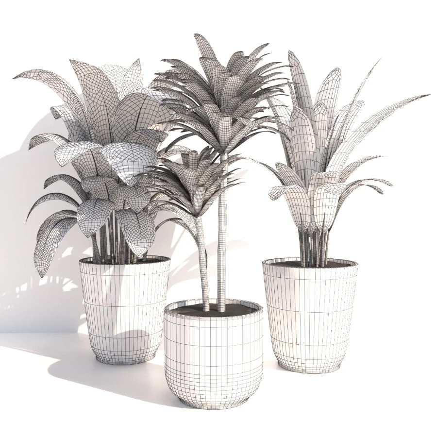 indoor plant_002 Image 4