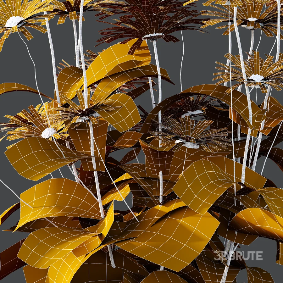 Common Daisy Flower Plant 01 Image 4