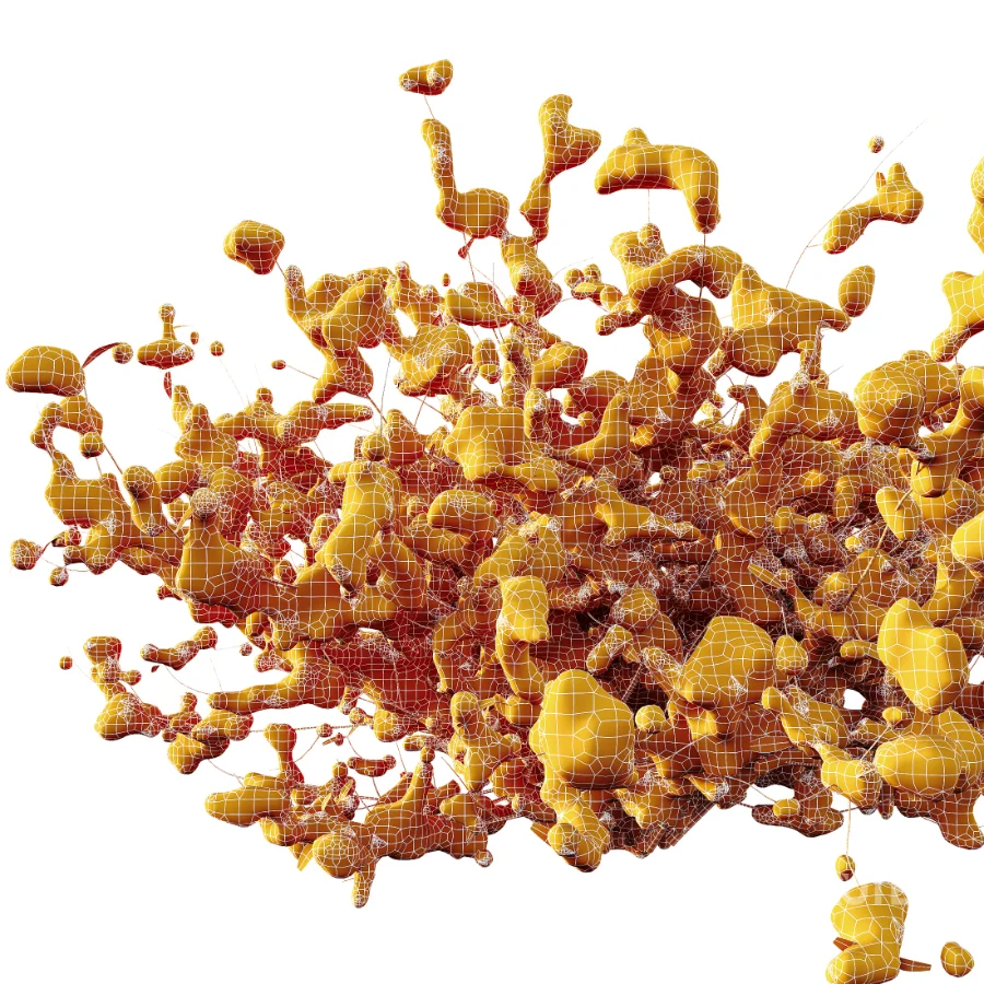 AV Winter plant Snow Quihoui Privet and Snow Abelia Grandiflora Image 10