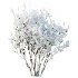 AV Winter Plant Snow Nerium Oleander Flower and Snow Salvia Mexican Sage - Thumbnail 1