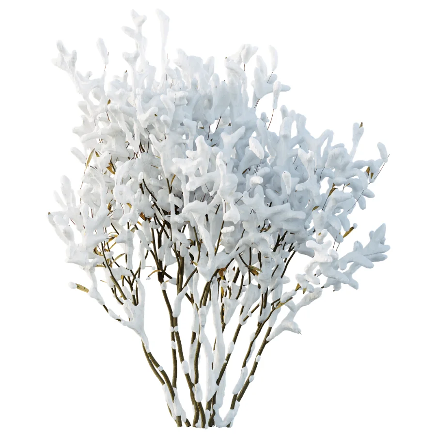 AV Winter Plant Snow Nerium Oleander Flower and Snow Salvia Mexican Sage Image 1