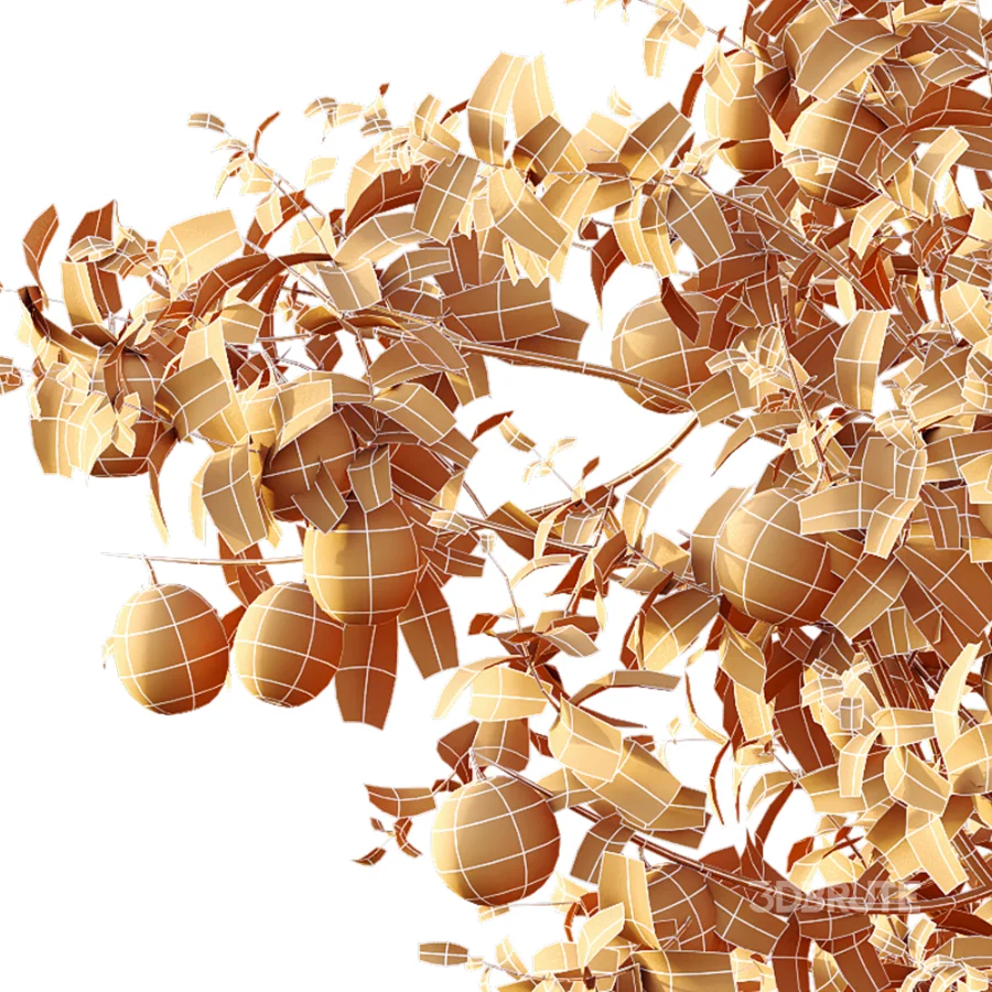 AV Plants Citrus Sinensis Orange Arancio Version02 Image 8