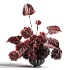 Signature Hydrangea And Anthurium Floral - Thumbnail 1
