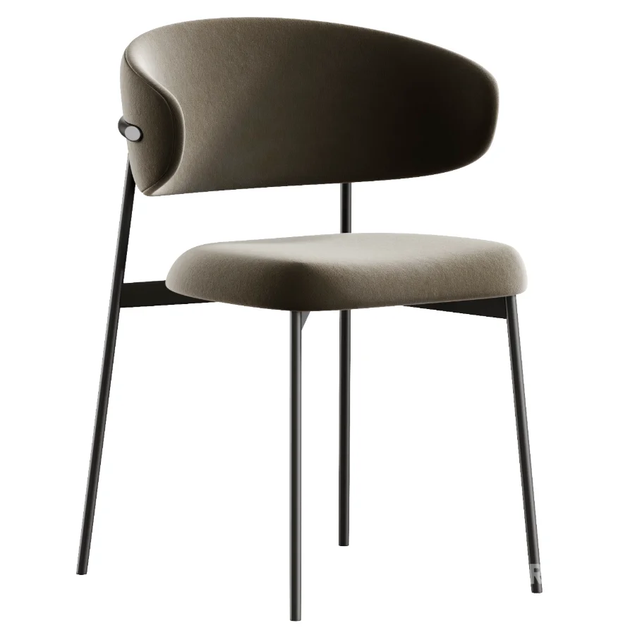 Dining chair RUTTE Image 4