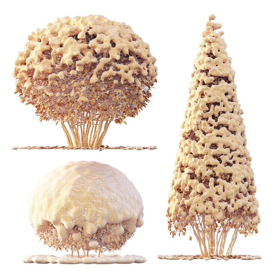 Av Winter Plant darf Yaupon Holly Winter Image 9