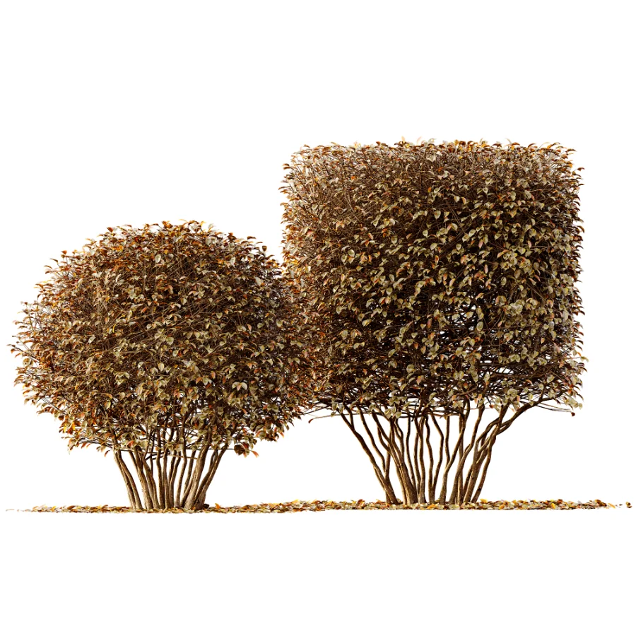 ntal greenery. Image 2