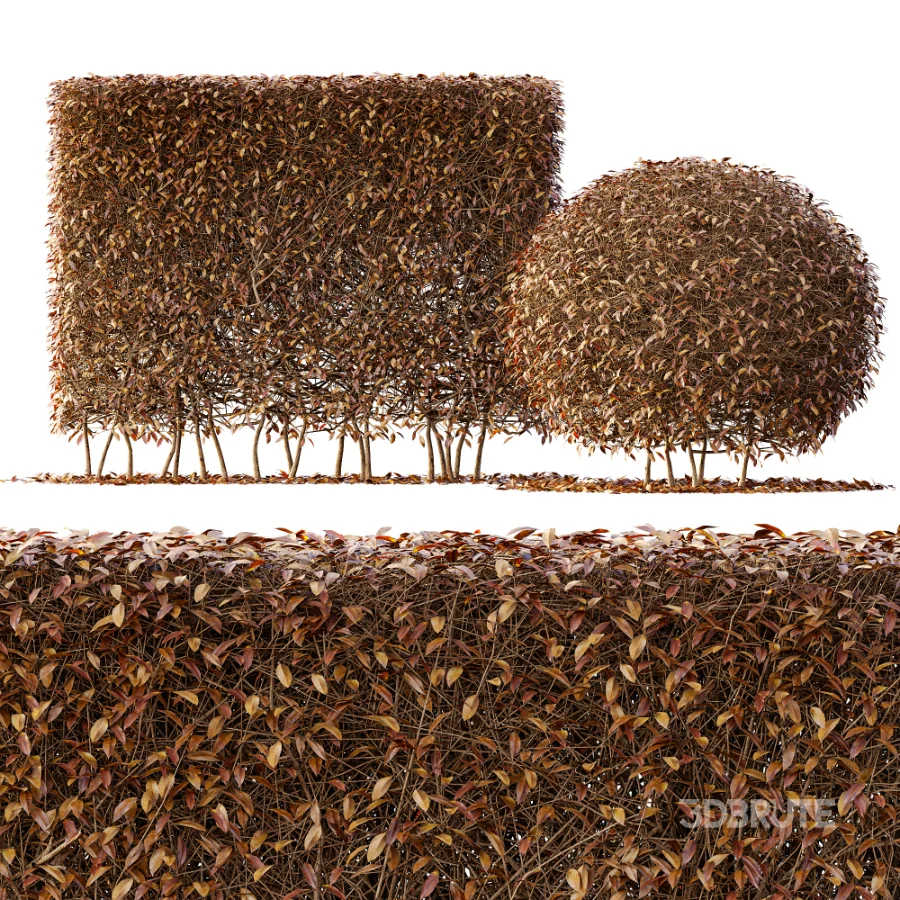 ntal greenery. Image 3