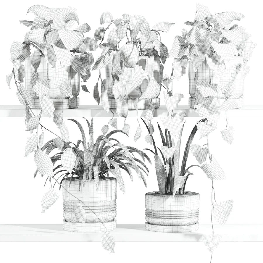 ivy potted plants on shelf Image 4