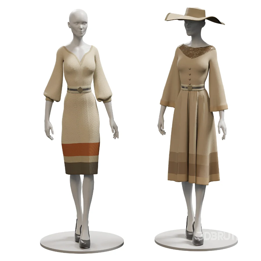 Showcase for Woman Clothing Image 2