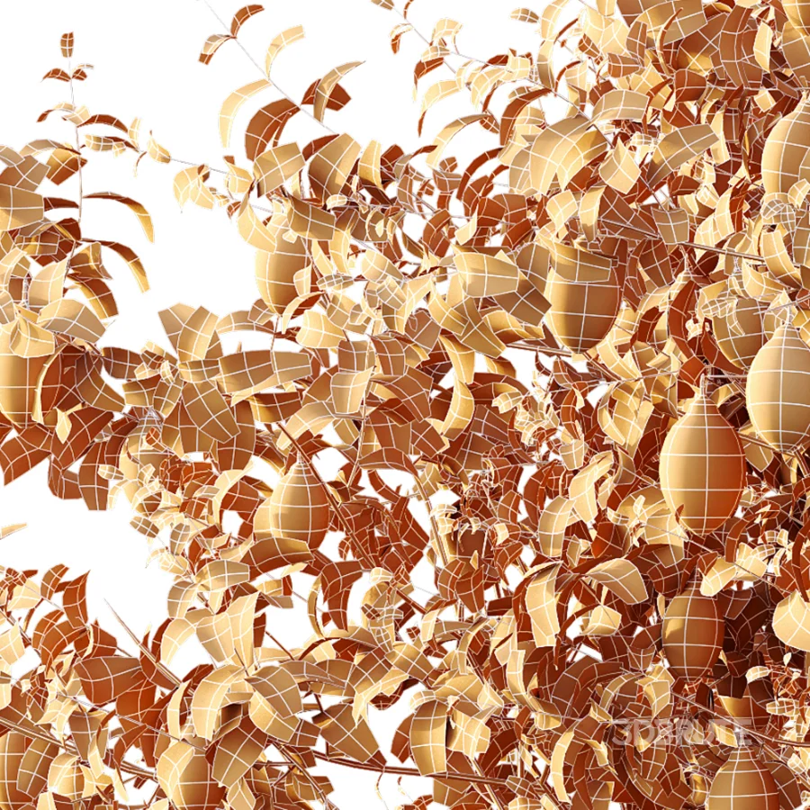 AV Plants Citrus Meyer Lemon Version02 Image 8