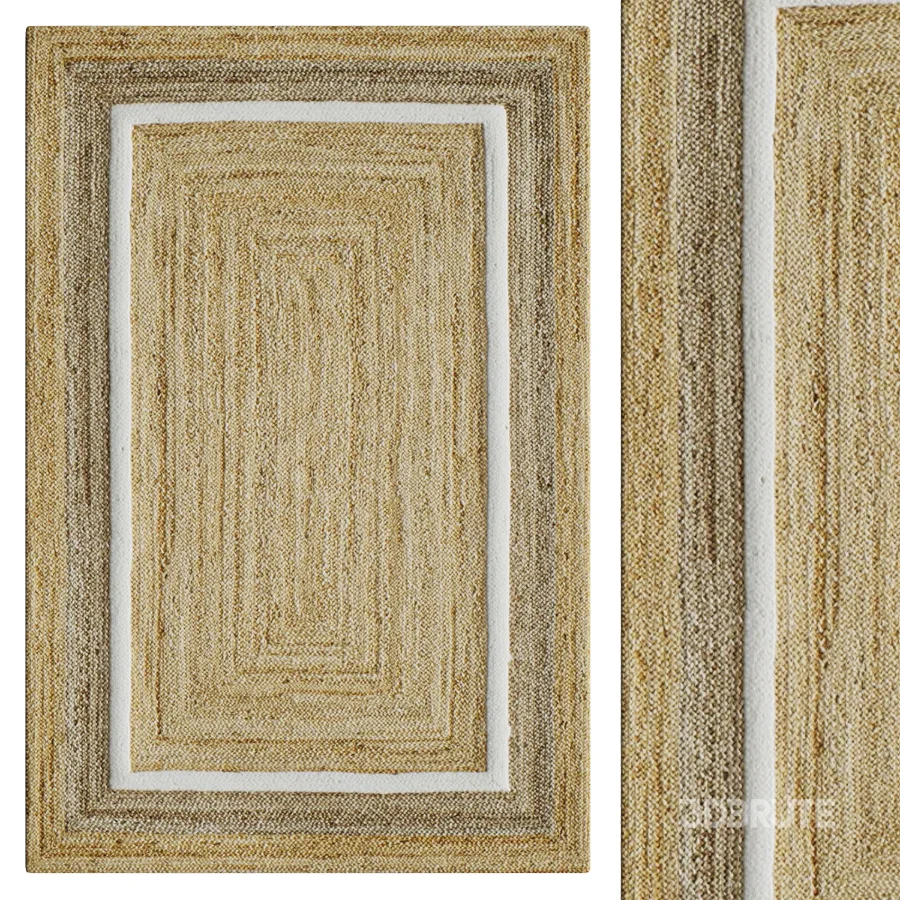 Natural Fiber Hand Woven Natural Area Rug Image 1