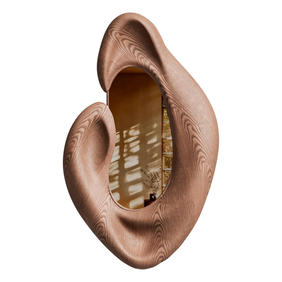 Sculptural Organic Mirror Image 2