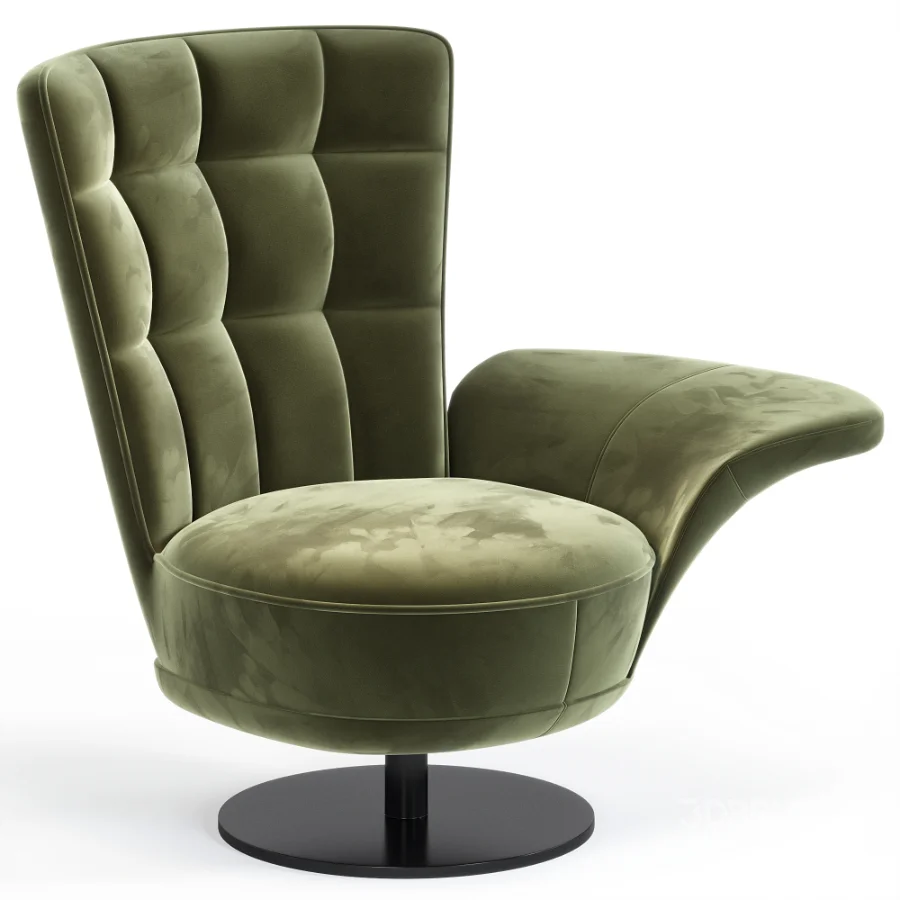 Ds 262 Swift Armchair By De Sede Image 3