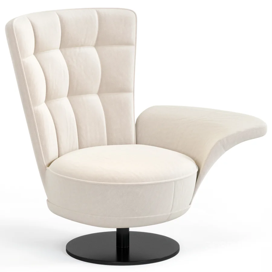 Ds 262 Swift Armchair By De Sede Image 6