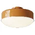 West Elm Kids Emerson Flush Mount - Thumbnail 3