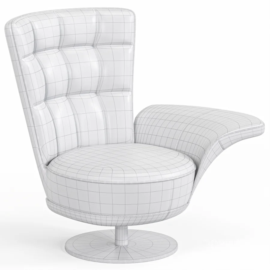 Ds 262 Swift Armchair By De Sede Image 7