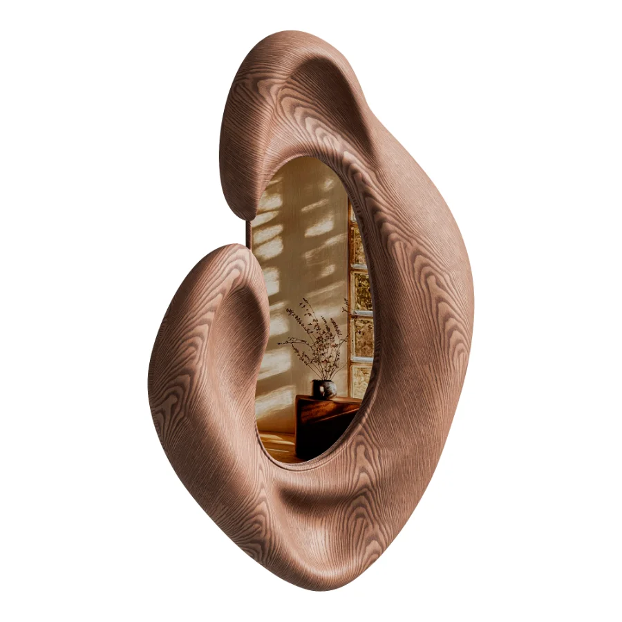 Sculptural Organic Mirror Image 4