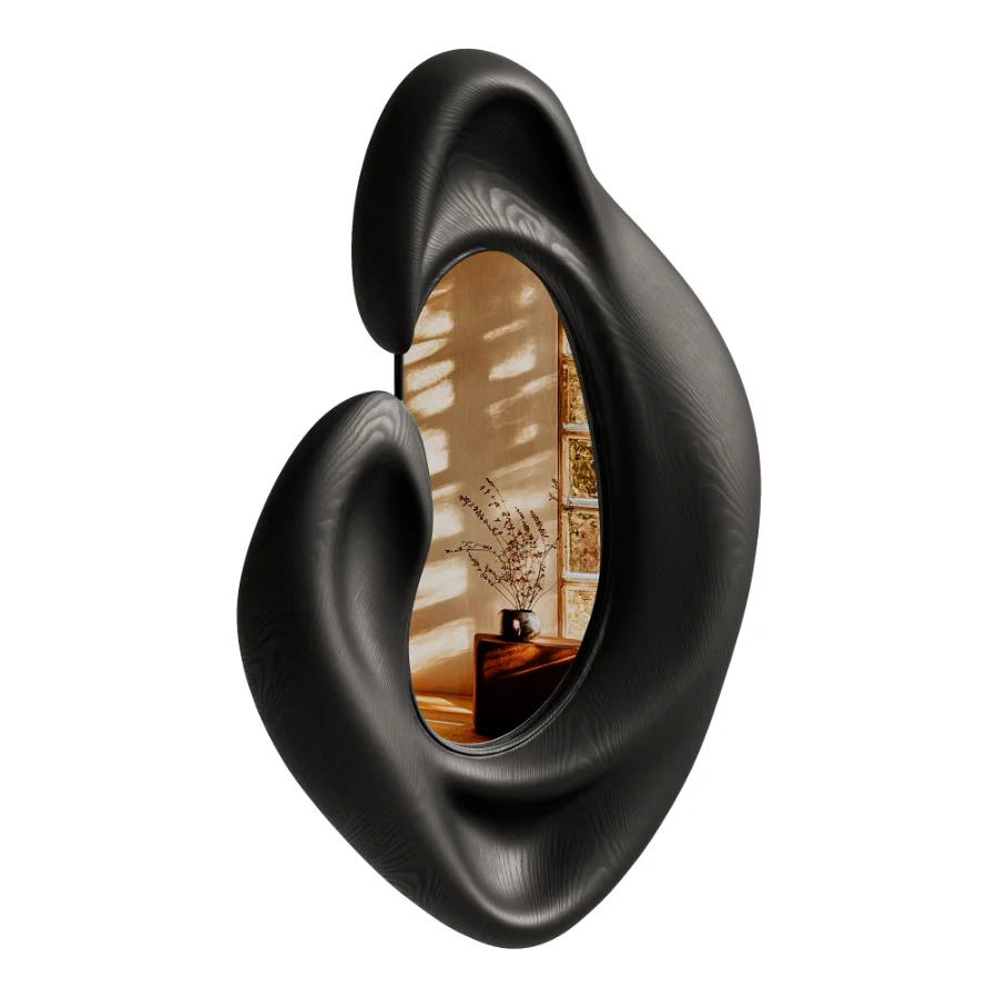 Sculptural Organic Mirror Image 3