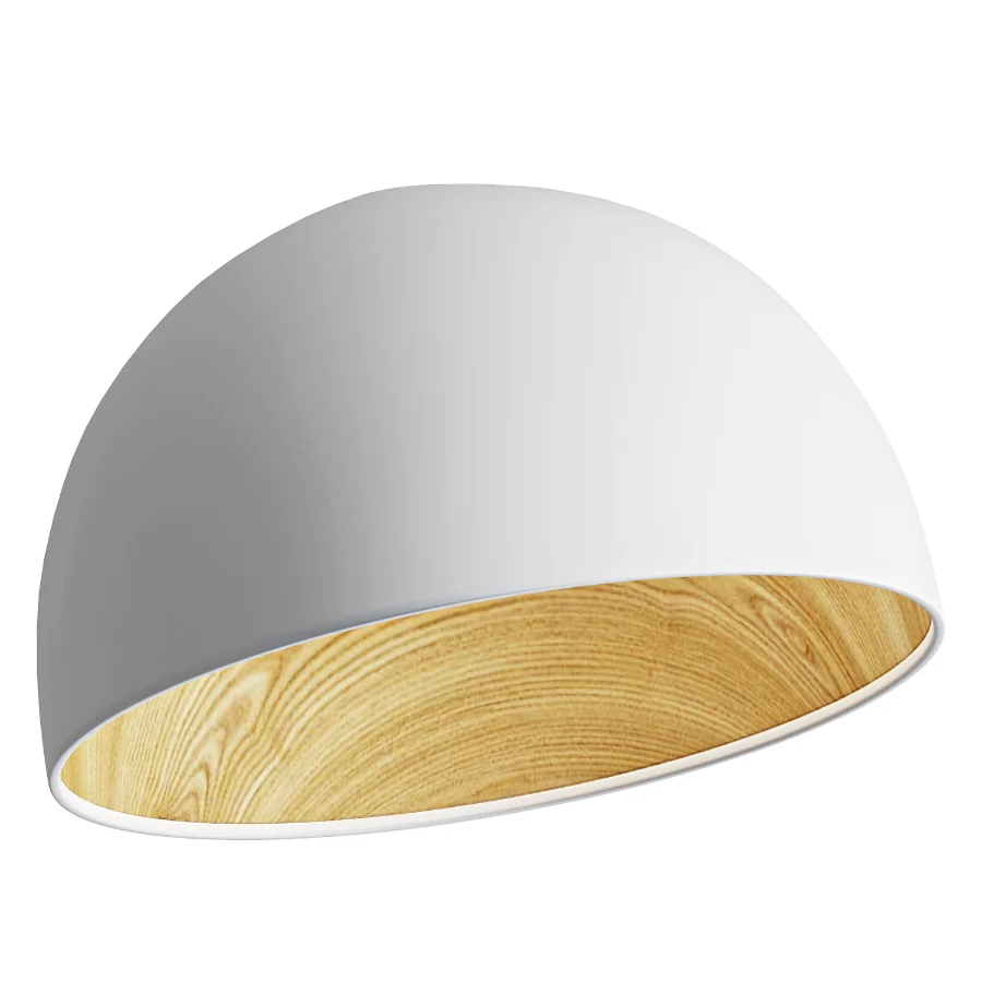 Duo Slanted Ceiling Lamp Image 2