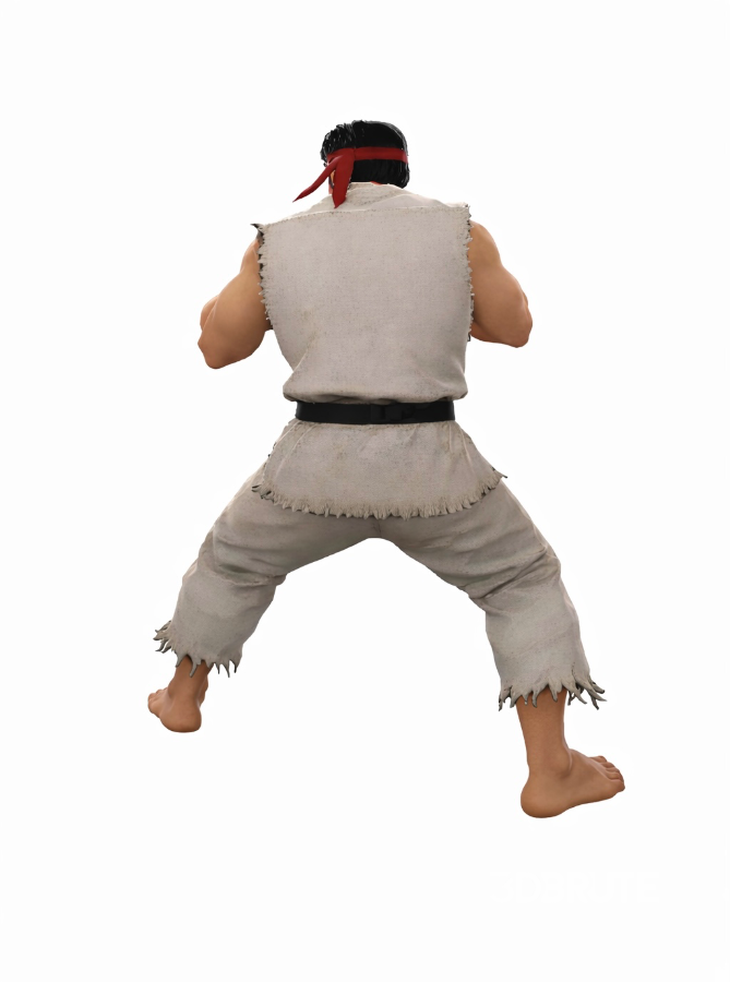 Realistic Martial Arts Fighter Character – Fighting Pose Image 4