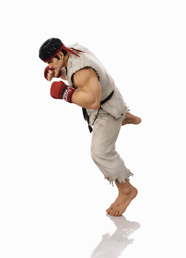 Realistic Martial Arts Fighter Character – Fighting Pose Image 3