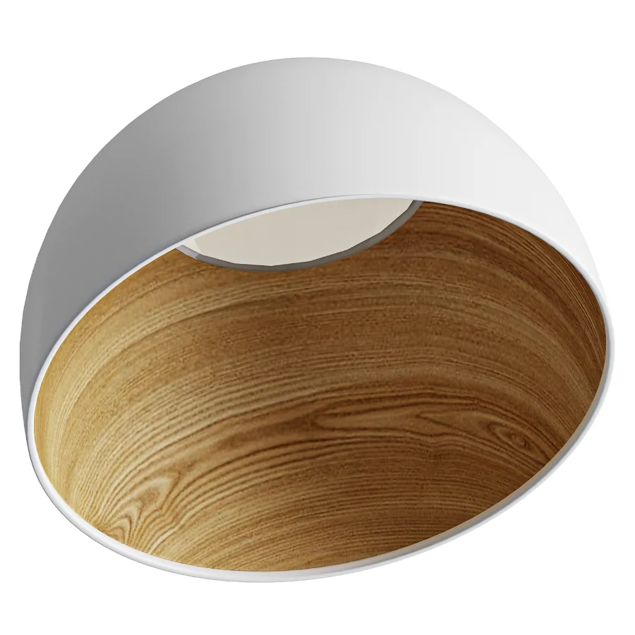 Duo Slanted Ceiling Lamp Image 4