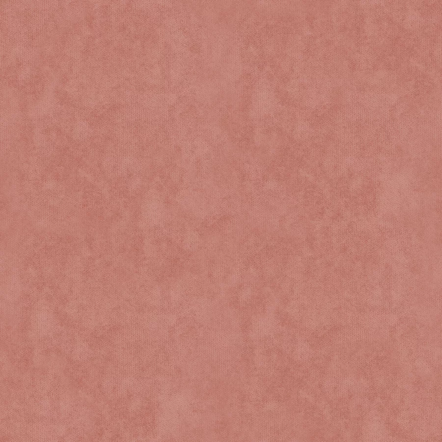 bench isabela 5 Image 9