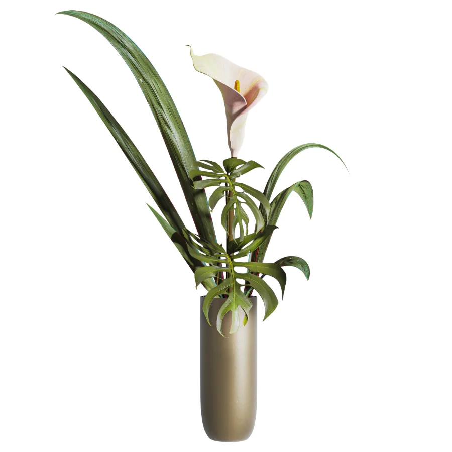 Monstera Bouquet Image 1
