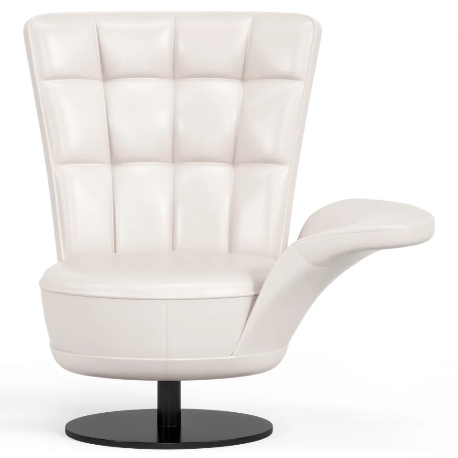 Ds 262 Swift Armchair By De Sede Image 2
