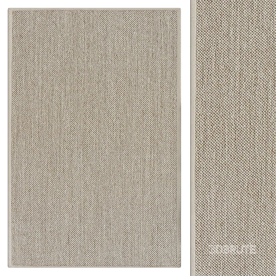 Sisal Area Rug in Ivory Image 1