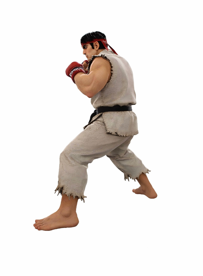 Realistic Martial Arts Fighter Character – Fighting Pose Image 1