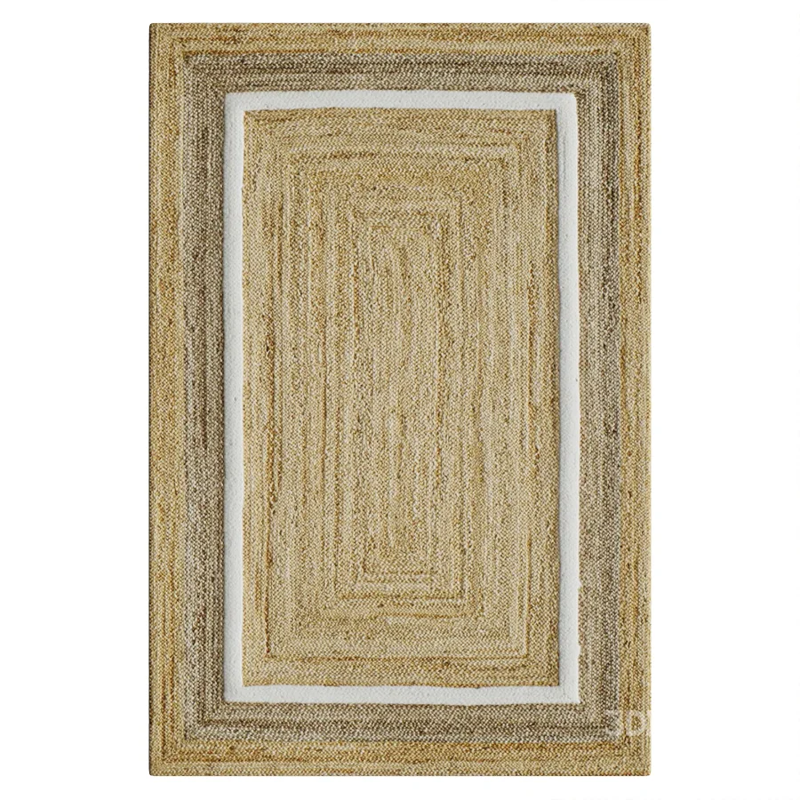 Natural Fiber Hand Woven Natural Area Rug Image 2